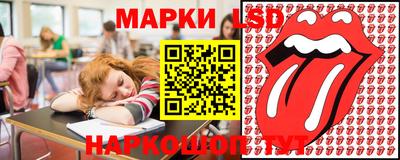 прущие грибы Будённовск