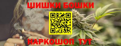 прущие грибы Будённовск